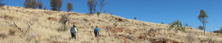 Larapinta Trail